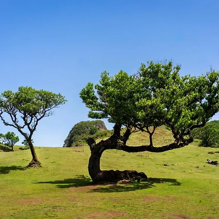 Bacana Oasis * Estreito Da Calheta
