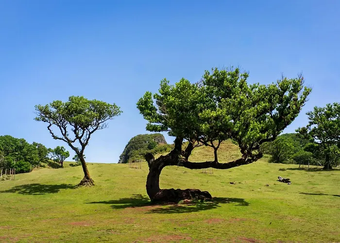 Bacana Oasis * Estreito Da Calheta